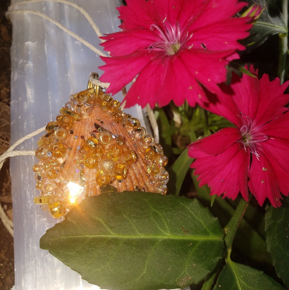 Handmade Seashell Pendant